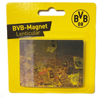 MAGNES BVB BORUSSIA DORTMUND NA LODÓWKĘ 8x6cm                                I28756-2.15 (2)